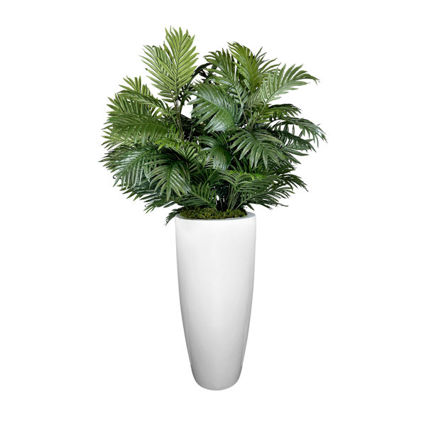 Creative Displays, Inc. Faux Palm Plant in Fiberstone Planter Perigold